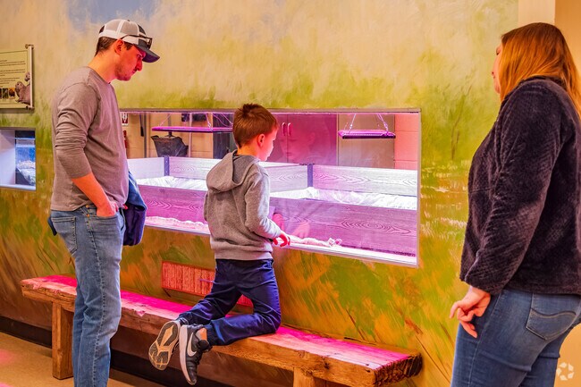 Children can gain nature knowledge at the visitor center of Martin Park Nature Center.