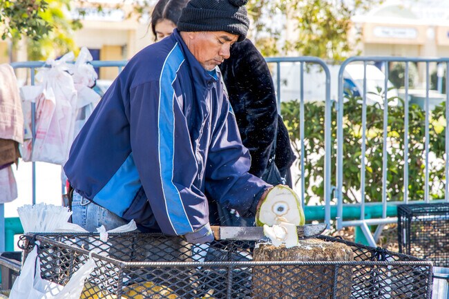 Pinellas farmers and flea market happens on Saturday mornings for you to get fresh produce.