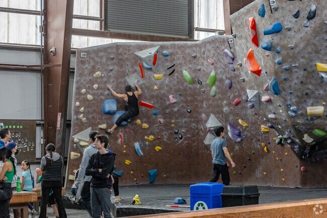 The massive rock-climbing walls at Movement Sunnyvale, Snail's premier gym facility.