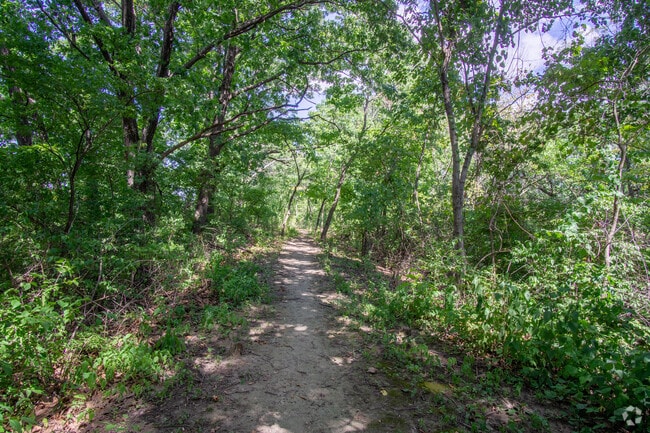 Surround yourself in nature along the walking paths in The Concourse Park.