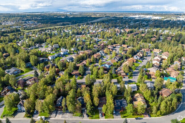 Mature trees line the suburban streets of Taku/Campbell.