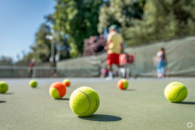 In Fair Oaks parks your children can take tennis lessons.