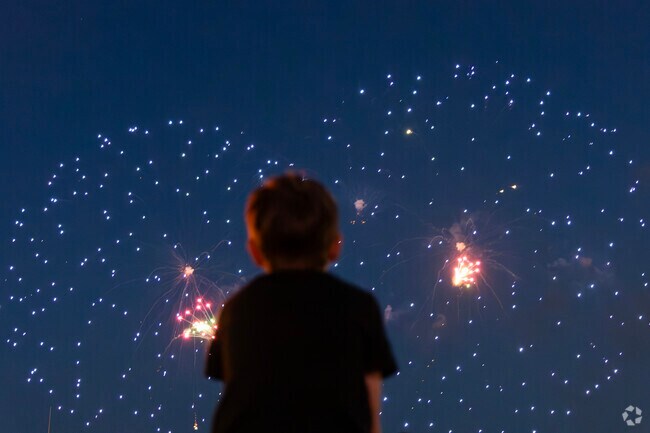 Kids gaze in awe at the firework display during Navy Piers summer firework event.