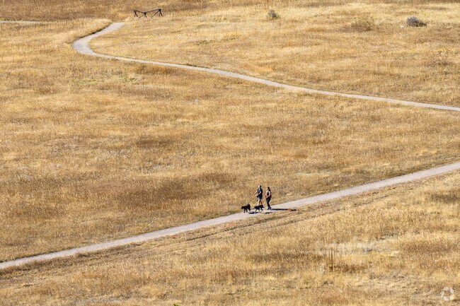 Elk Meadow Park in Evergreen has long, winding trails, both shaded and unshaded.