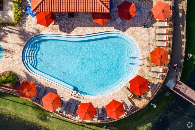 Residents enjoy swimming at the main pool at Briarwood.