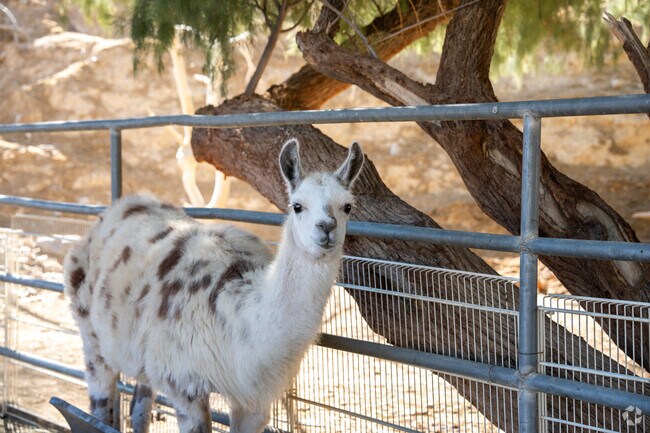 Gilcrease Nature Sanctuary in Tule Springs displays a variety of wildlife.