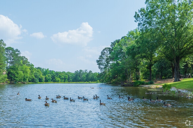 Nature encompasses the Rivermont neighborhood with small lakes and the Chattahoochee River.