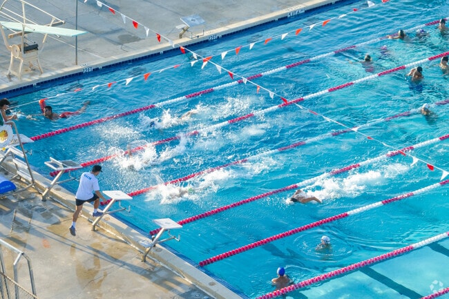 Residents head to Tamiami Park in Southern Estates for daily swimming lessons.