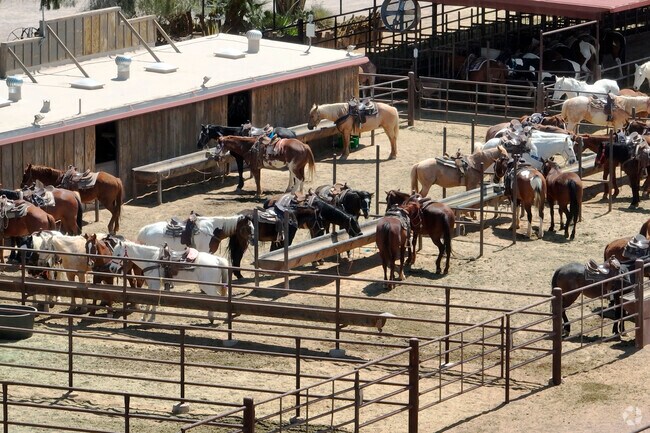 Ironwood Reserve residents looking for a Wild West experience can head to Tucson Mountain Stables for horseback riding.