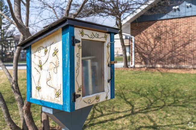 South Schaumburg has artful free little libraries scattered in the neighborhood to share books.