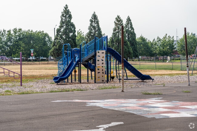Central Elementary School has outdoor playgrounds for students in Central Albany.