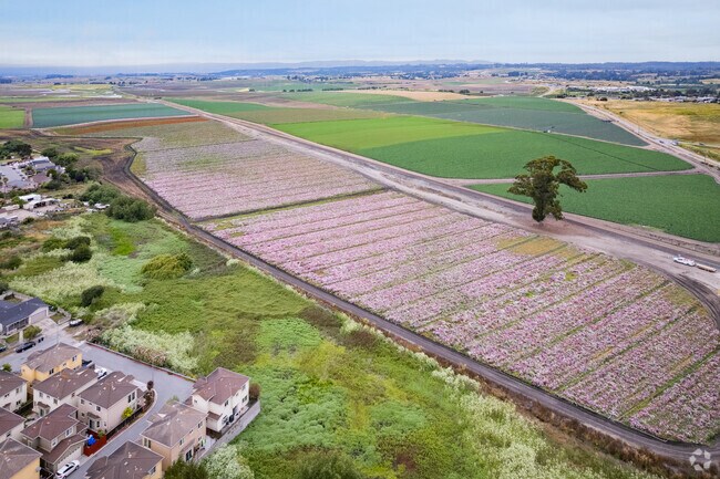 Aerial of snap pea farm land next to the residential streets of Castroville, California.