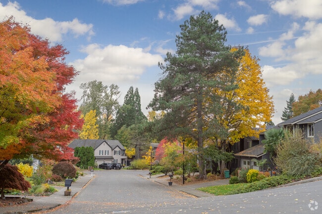 Scenic Raleigh Hills residential area featuring colorful autumn trees and peaceful surroundings.