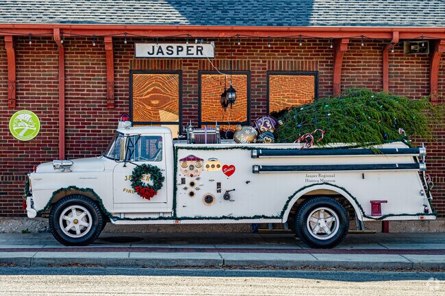 Jasper is getting into the Christmas spirit.