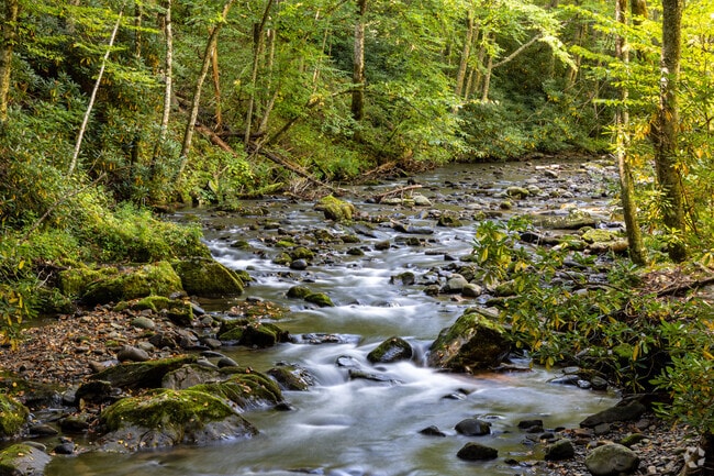 The Doe River carves its way through Roan Mountain State Park.