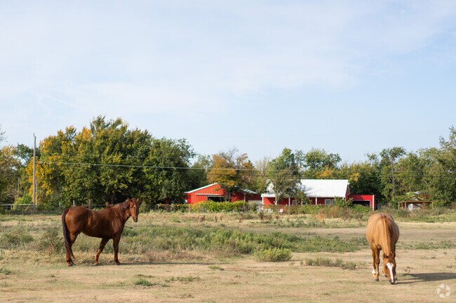 N Western-S Kelly neighborhoods glow during sunset walks.