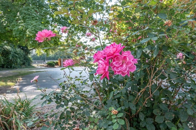 Manicured lawns and front-yard flower gardens are familiar sights in Signal Point.