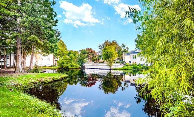 The Willows at Shelby Farms, Cordova, TN 38018 - photo 6