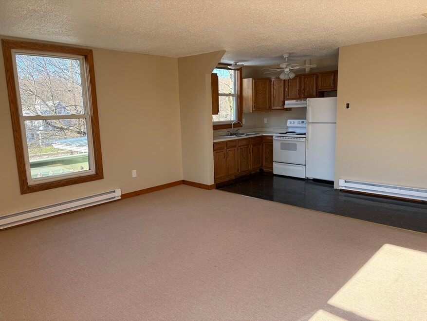 220 Liberty St unit 302, Bath, NY 14810 - photo 1