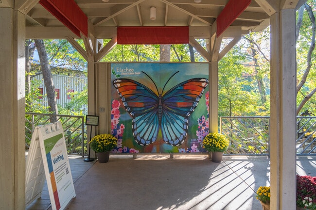 The Elachee Nature Center in Chicopee Village is great for children to learn about local nature.