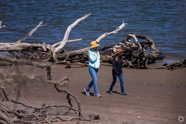 Driftwood Beach is one of the most scenic spots in the neighborhood The Islands.
