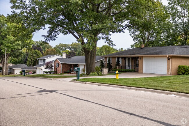 Homes in John Muir Park tend to be surrounded by large, mature trees.