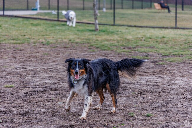 The Columbia Dog Park is quite close to Fairway Hills, in Cedar Lane Park.