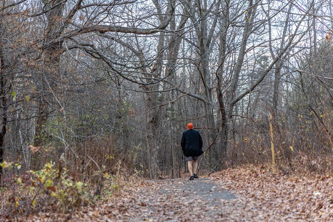 Enjoy a walk though the Middlesex Fells Reservation trails near Colonial Park.