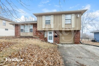 8008 E 93rd St, Kansas City, MO 64138