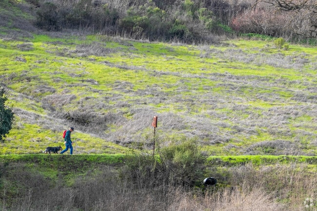 A Chantillery resident hikes Santa Teresa County Park trails with his dog under peaceful green hills.