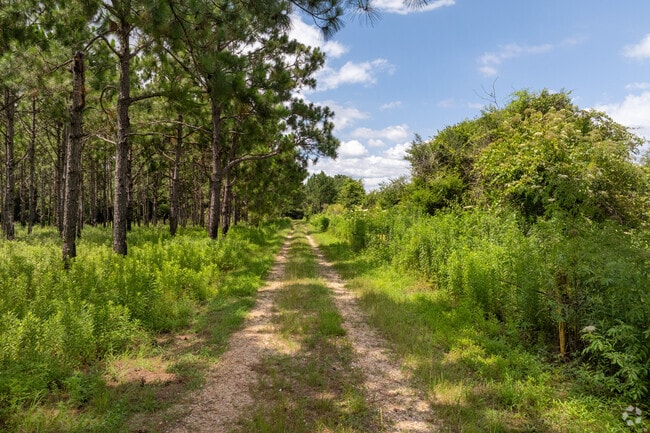 Muddy Creek Wetlands has miles of trails meandering through protected area loaded with wildlife.