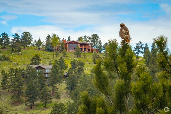Perched in mountaintop homes along Upper Bear Creek, residents share their days with soaring hawks, eagles, and elk. Birds of prey wheel through crisp alpine skies, while deer and foxes roam below—true wilderness meets luxury living in stunning harmony.