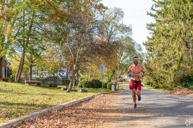 A local enjoys a run throughout Johnson City.