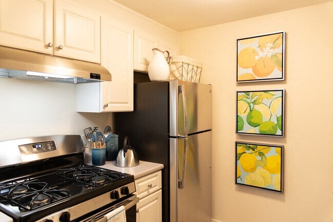 Renovated Kitchens Featuring Steel Appliances, White Cabinetry and new Countertops