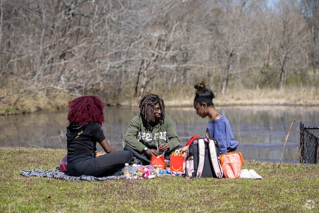 A group of teens are enjoying a picnic in one of the green spaces around Pinson.