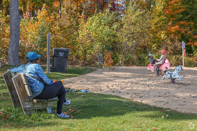Kids love playing on the beach at Sands Park near South Boardman.