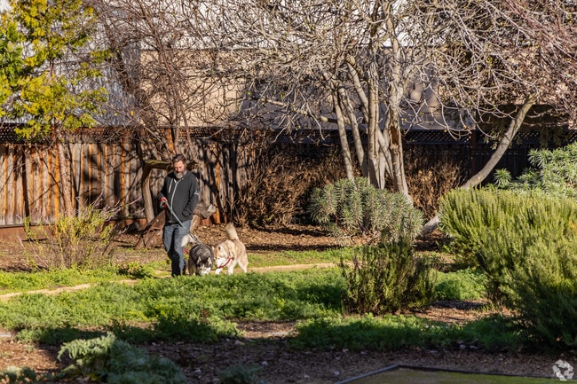 Take your dogs on a walk through Heritage Park in Monta Loma.