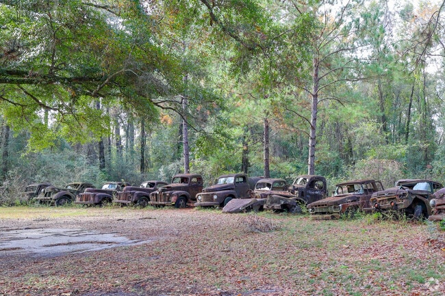 The Truck Graveyard is a group of old classic automobiles hidden in the middle of Crawfordville.