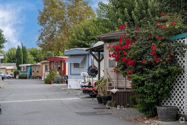Nestled among the trees, these mobile homes offer serene living in Princess Park.