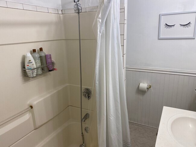 54 Egmont St unit 2, Brookline, MA 02446 - photo 6