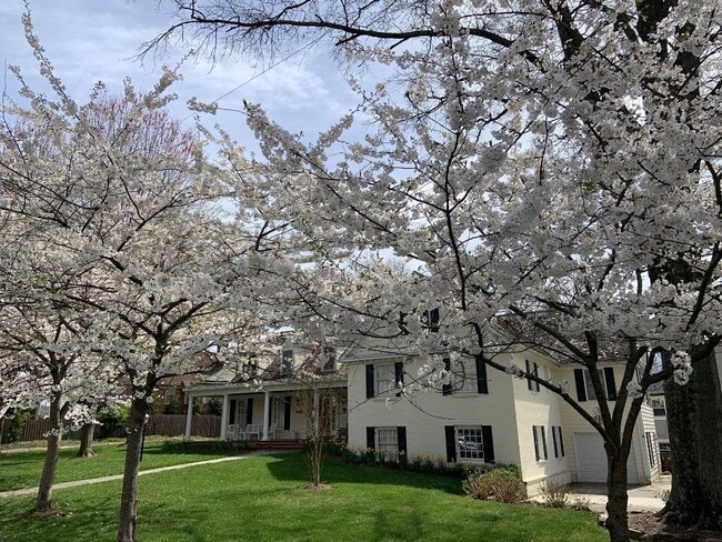 5804 Searl Terrace unit Private Primary Suit, Bethesda, MD 20816 - photo 3