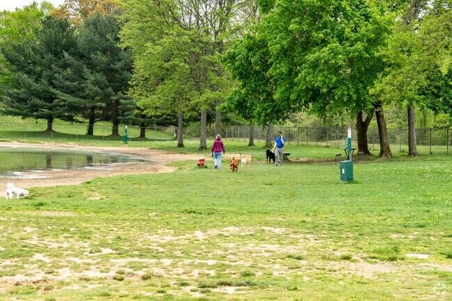 Residents of Stow take their dogs to Bow Wow Beach Dog Park.