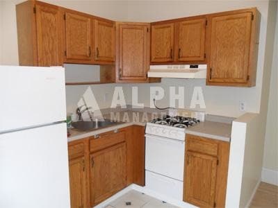 6 Wait St unit 3, Boston, MA 02120 - photo 4