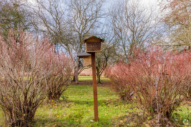 Birdhouses at Charlotte’s Blueberry Park support local wildlife year-round.