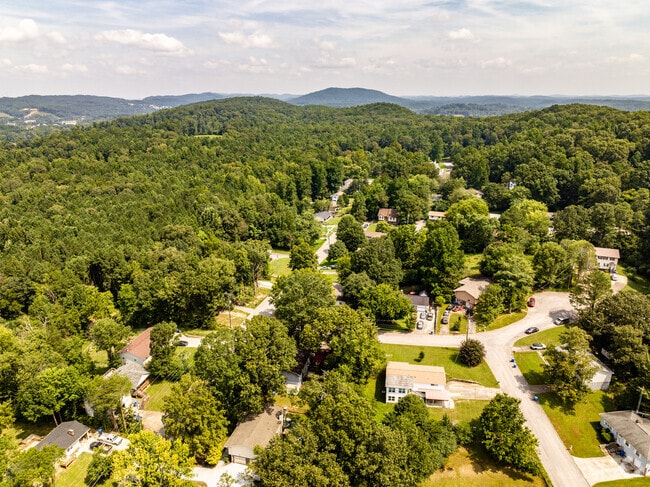 Aerial view of the Apison neighborhood with the mountains in the background.
