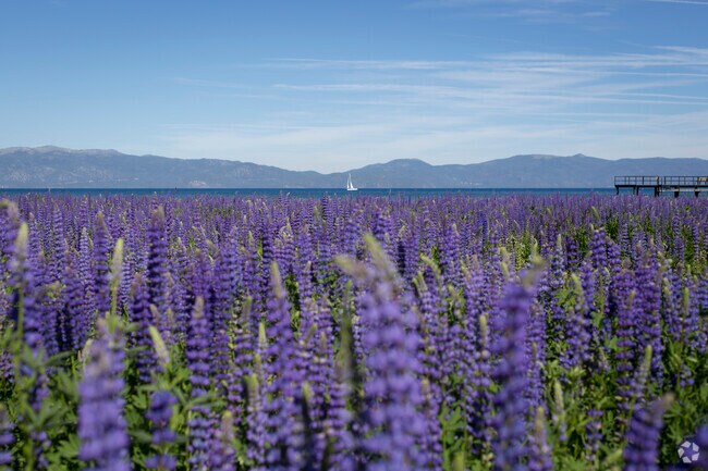 Gateway is only 18 miles from the pristine shores of the world famous Lake Tahoe.