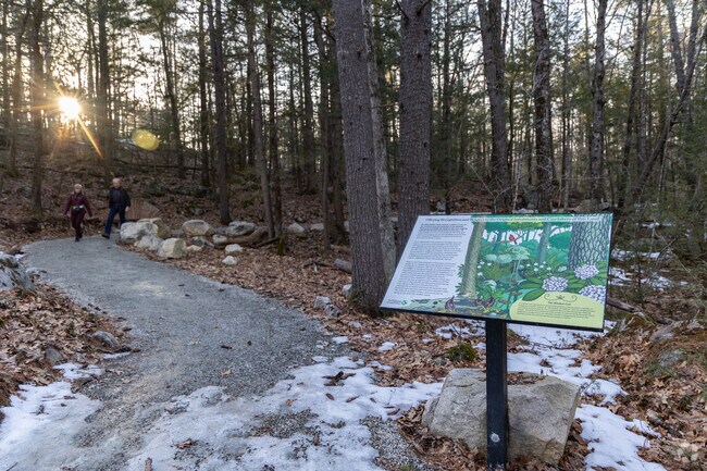 A couple enjoy hiking the many trails at the Manchester Cedar Swamp Preserve.