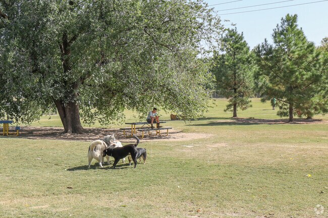 The mature shade trees within Biscuit Acres Dog Park give visitors a comfortable place to relax.