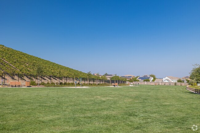 Run and play in the grass at many parks offered at at the Deer Ridge-Marsh Creek neighborhood.