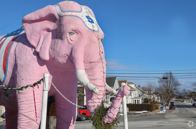 Say hello to Pinky the elephant who visits Magnolia during holiday parades.